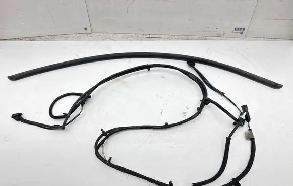 Tesla Model S Other wiring loom 102520200C