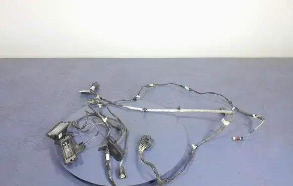 Ford Mustang I Other wiring loom JR3T-13412-DC