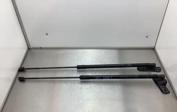 Ford C-MAX II Tailgate/trunk strut/damper AM51R406A10AE 5050180565N