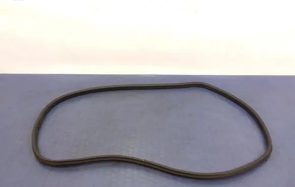Renault Scenic IV - Grand scenic IV Front door rubber seal 