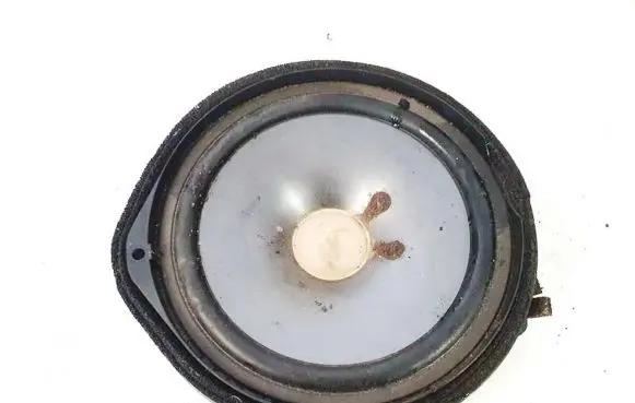Honda Civic Front door speaker