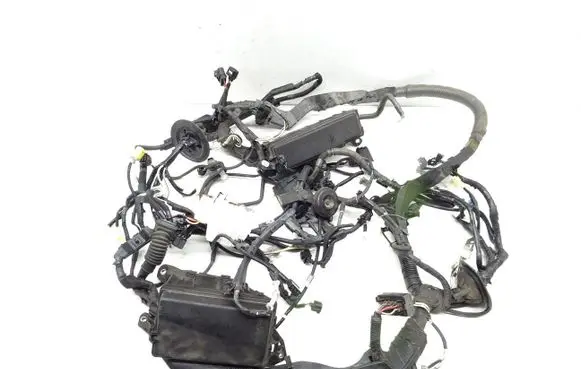 Lexus RC Engine installation wiring loom 