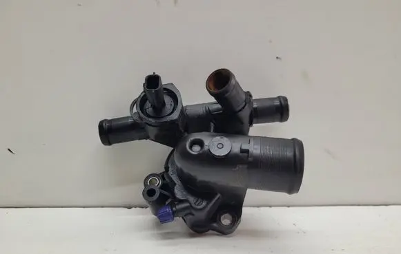 Thermostat/thermostat housing
