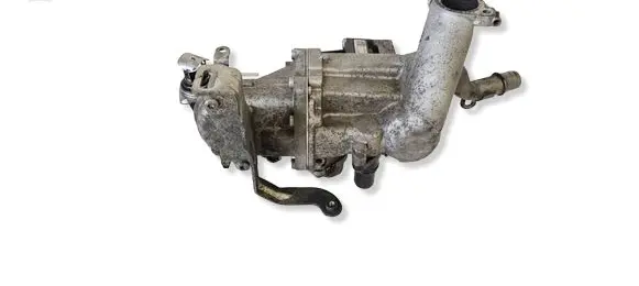 Citroen C3 EGR valve 50563901