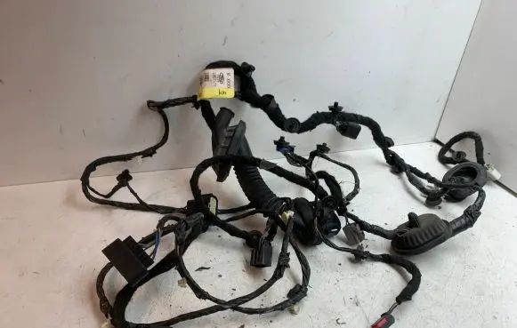 Ford Mustang VI Front door wiring loom FR3T14631