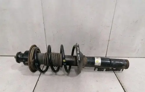 Porsche Boxster 986 Rear shock absorber with coil spring 22113320