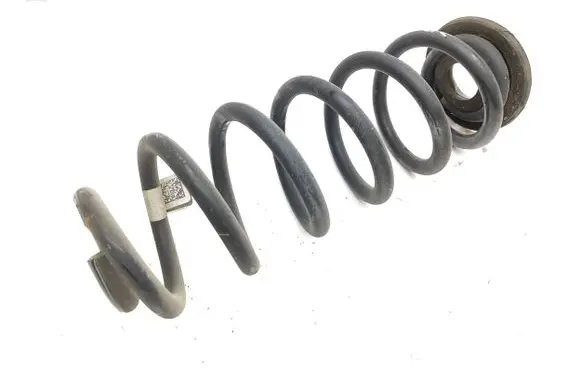 Rear coil spring