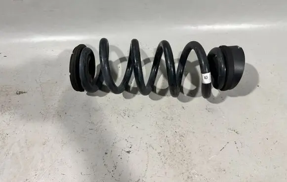 Rear coil spring