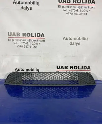 Ford Fiesta Front bumper lower grill