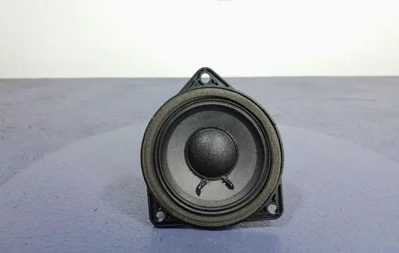 Porsche Cayenne (9PA) Subwoofer speaker 971035415F