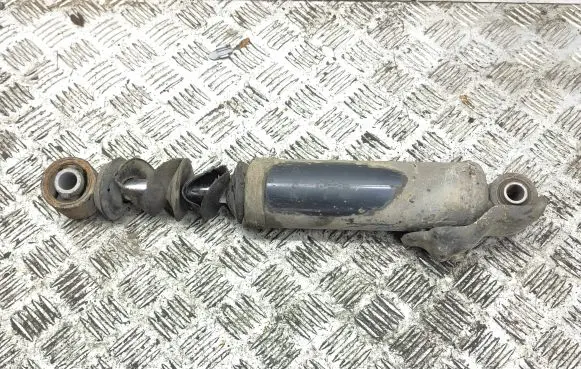 Hyundai Santa Fe Rear shock absorber/damper 553202W210