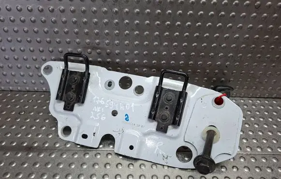 Peugeot Expert Rear door lock loop/hook striker S26309256 176594A01