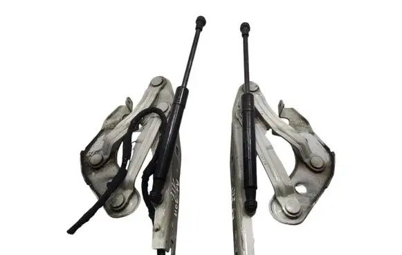 Engine bonnet/hood hinges