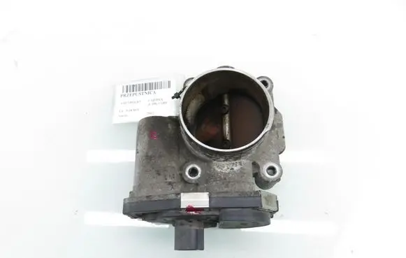 Chevrolet Captiva Throttle body valve 