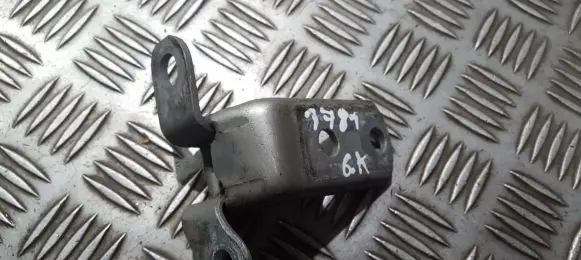 Rear door lower hinge