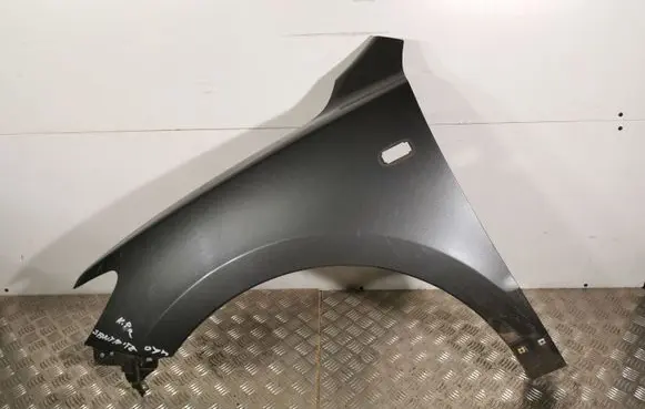 Hyundai Santa Fe Fender