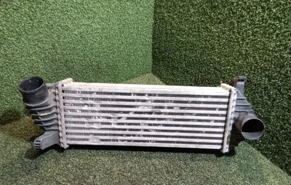 Renault Kangoo II Intercooler radiator 8200427469 0198254