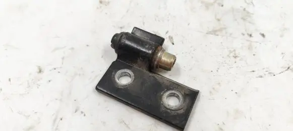 Front door lower hinge