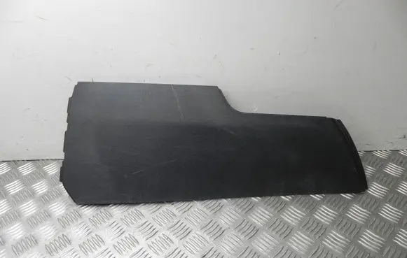 Dodge Charger Panel trim L0199905TRMAD