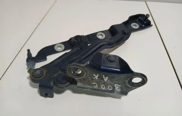 Chrysler 300 - 300C Tailgate/trunk/boot hinge 197AD