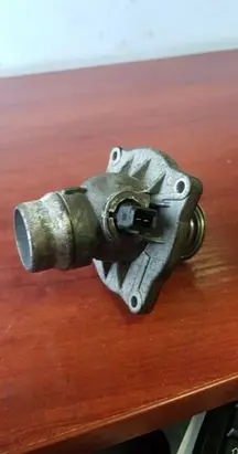 Thermostat/thermostat housing