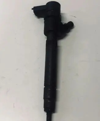 Volvo V70 Fuel injector 0445110298