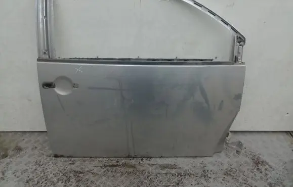 Volkswagen New Beetle Front door