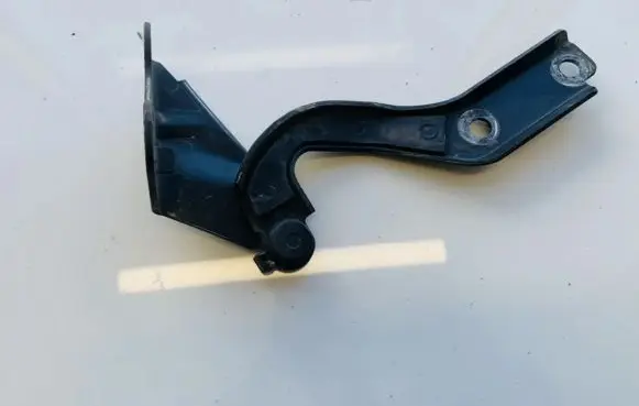 Volkswagen Fox Engine bonnet/hood hinges 5z0823302c