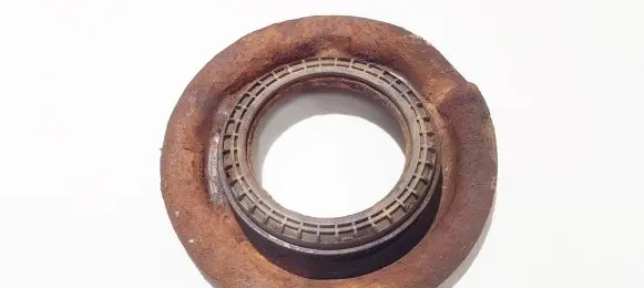 Coil spring mount