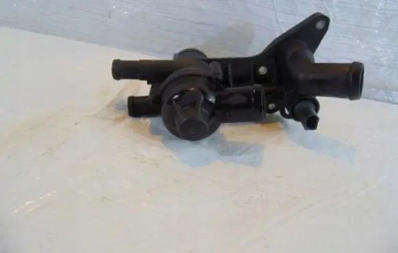 Thermostat/thermostat housing