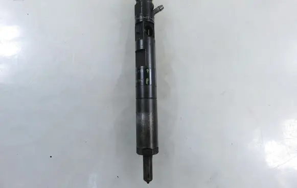 Renault Megane II Fuel injector 8200421359 EJBR03101D 8200421897