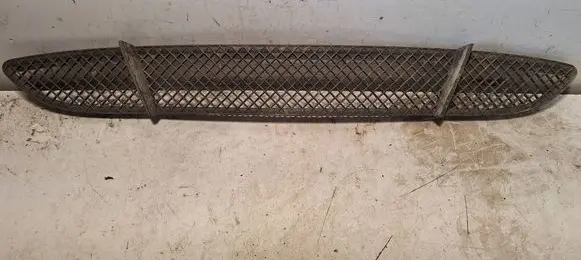 BMW 1 E81 E87 Front bumper lower grill 7118161