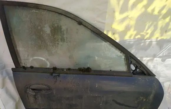 Renault Laguna I Front door melynos