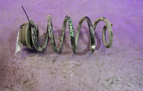 Nissan Juke I F15 Rear coil spring