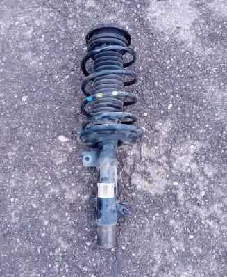 Citroen C4 Cactus Front shock absorber/damper 9810705280 222066F8