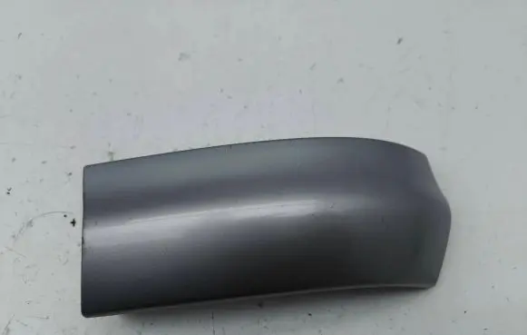 Rear/tail light trim molding