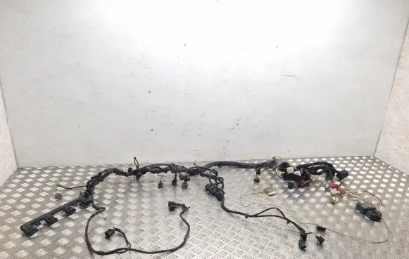 Seat Exeo (3R) Engine installation wiring loom 4E0906385 4E0906379