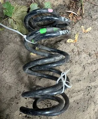 Rear coil spring
