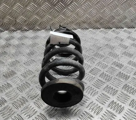 Skoda Enyaq iV Rear coil spring 1EA511103J