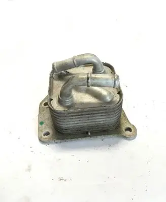 Nissan Juke I F15 Oil filter mounting bracket 