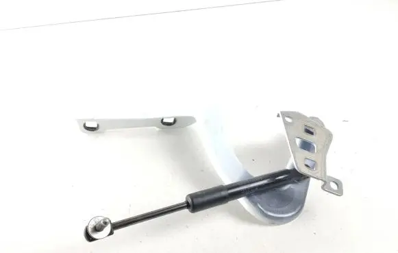 Tesla Model Y Tailgate/trunk/boot hinge 164119