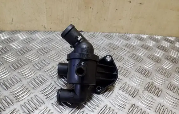 Thermostat/thermostat housing