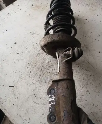 Opel Astra J Front shock absorber/damper 063496
