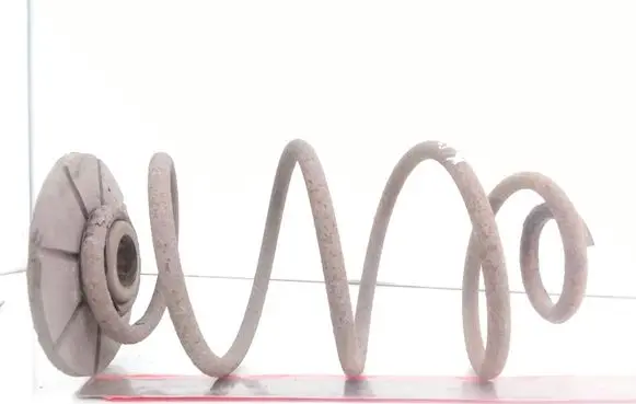 Rear coil spring