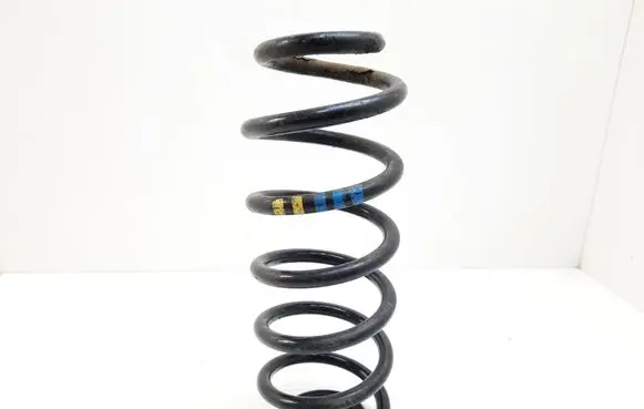 Rear coil spring