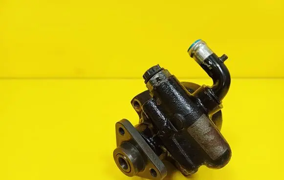 Fiat Multipla Power steering pump