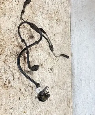 Porsche Panamera (971) Rear ABS sensor wiring 971971286B