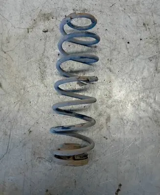 Rear coil spring