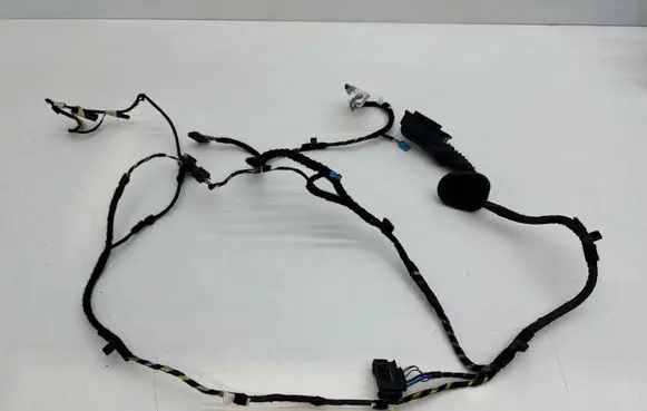 BMW 2 F45 Front door wiring loom 19344411