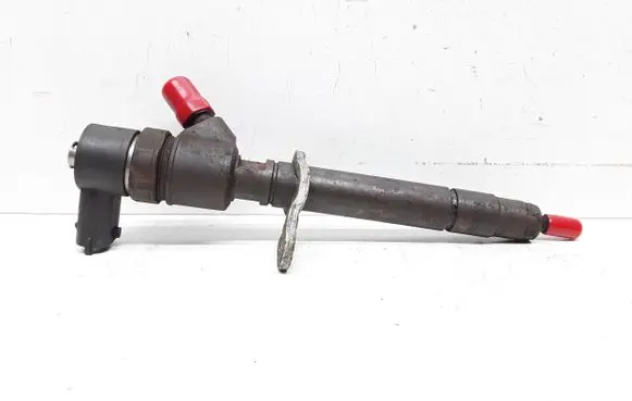 Volvo V70 Fuel injector 0445110298 30777526